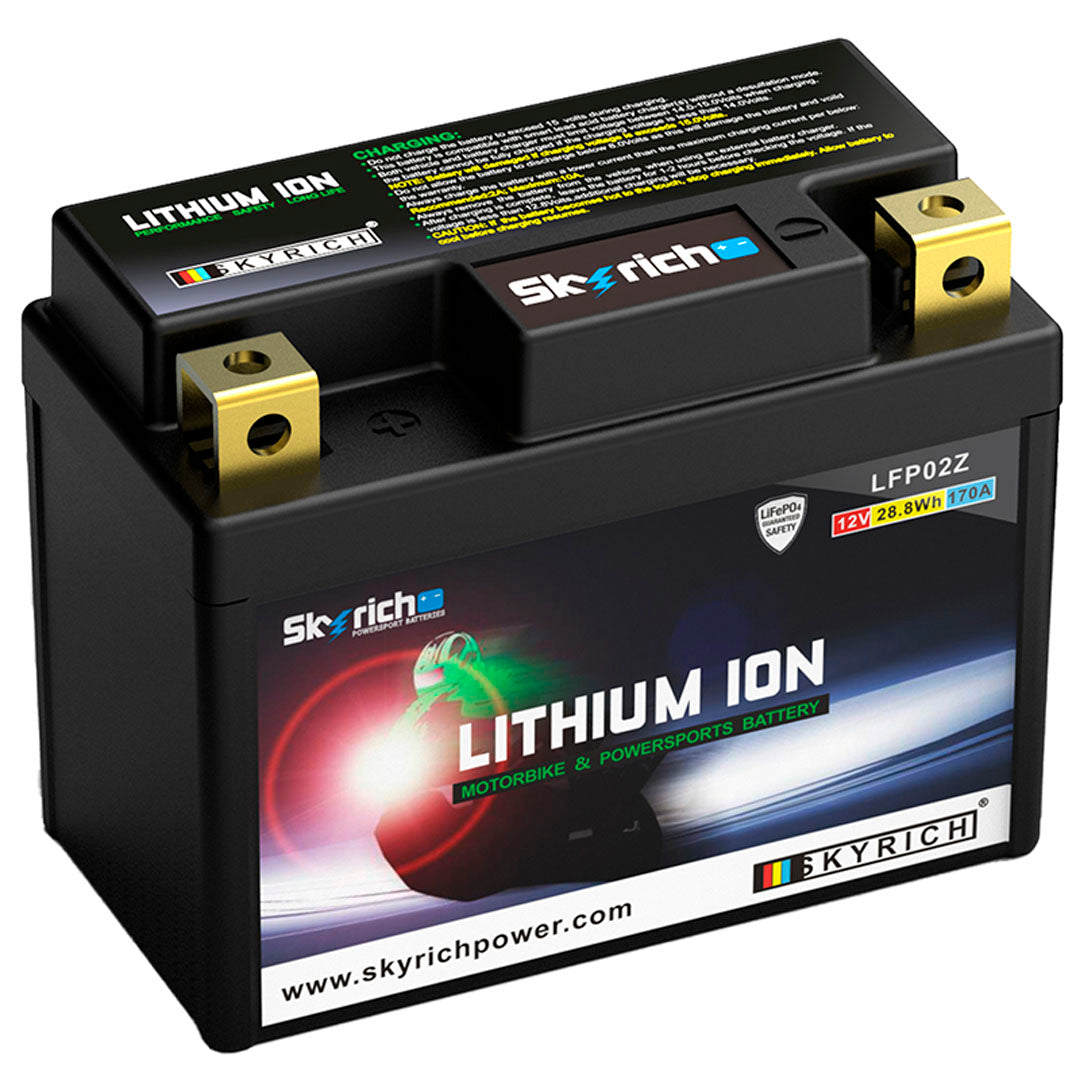 BATERÍA LITIO SKYRICH LFP02Z 12V CON BMS