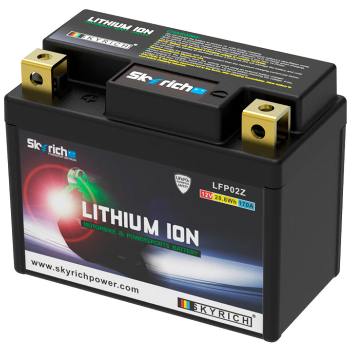 BATERÍA LITIO SKYRICH LFP02Z 12V CON BMS
